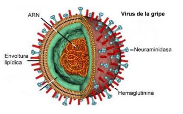 Nueva «pandemia» para que este año sea el de la «remontada» de la vacuna de la gripe