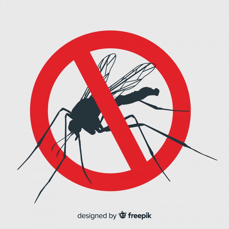 Cuidado que el mosquito del dengue no entiende de fronteras humanas